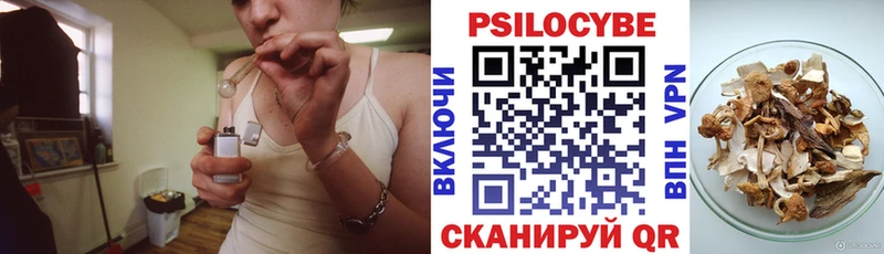 цены   Лыткарино  Псилоцибиновые грибы MAGIC MUSHROOMS 