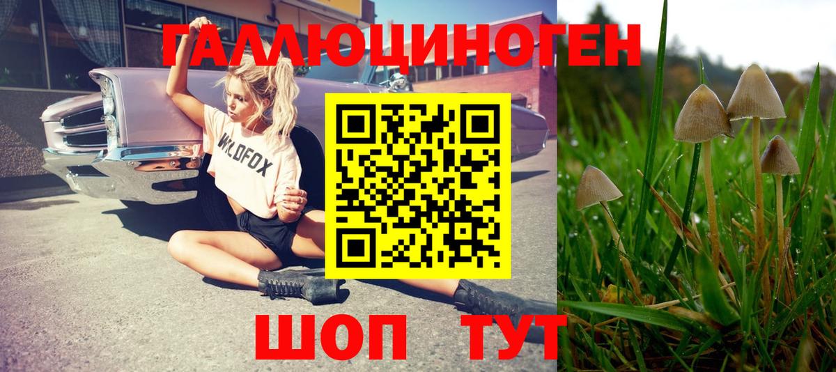 Галлюциногенные грибы Psilocybe  Вход с VPN  Галлюциногенные грибы Magic Shrooms  Лыткарино 