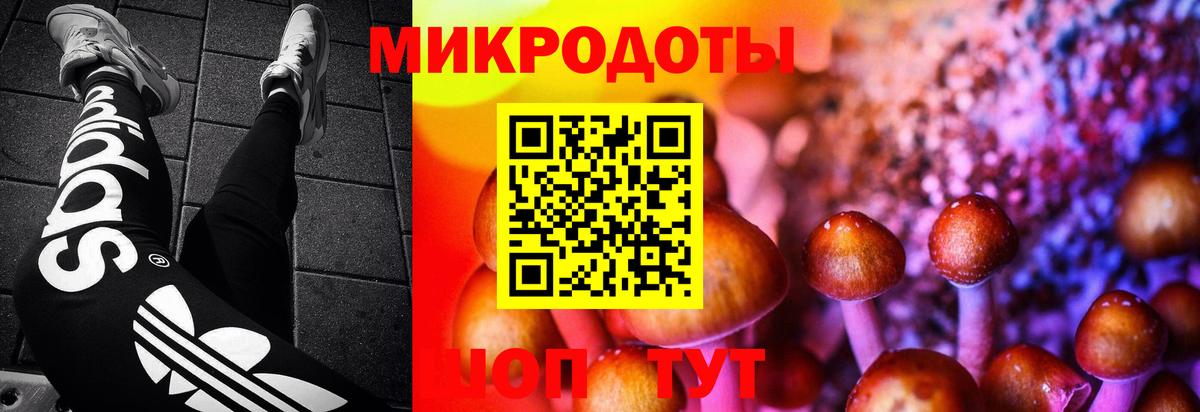 Галлюциногенные грибы GOLDEN TEACHER Лыткарино